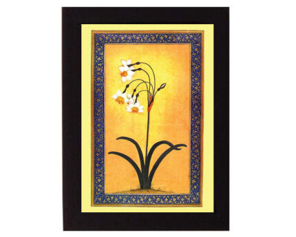 Study of  Narcissus Plant. Mughal India.   Overall frame size 6 x 8 inches.