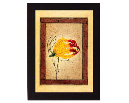Study of a Flame Lily. Mughal India. Overall frame size 6 x 8 inches.