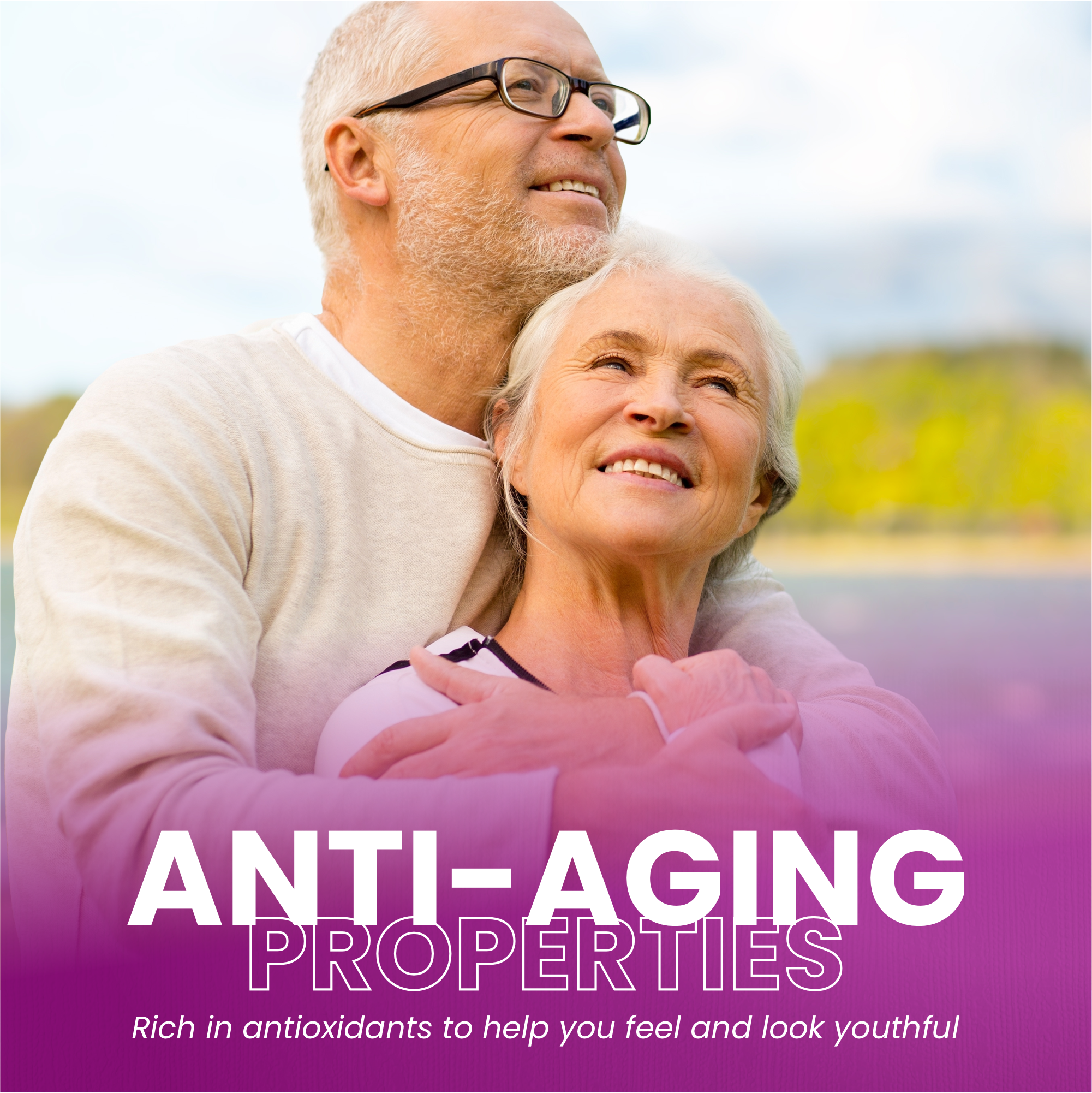 12_62bd656f-c9bd-461b-acab-f23eb273a4c0