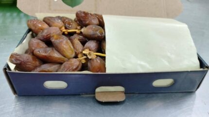 Premium Branched Deglet Noor Dates -Algeria